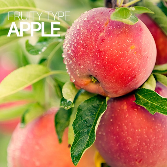 조향베이스 - 애플(사과) (조향원료, 향수만들기)