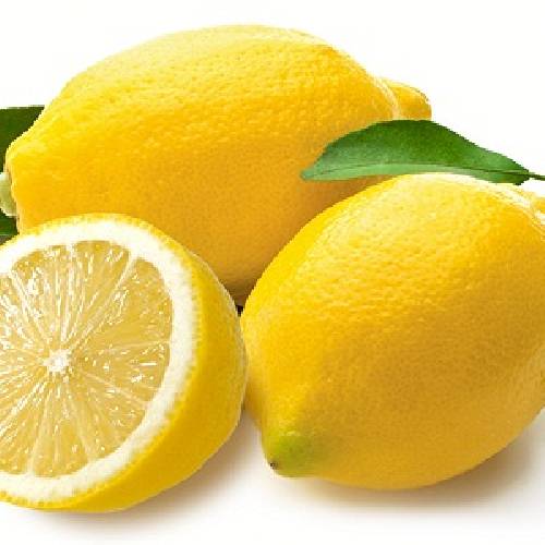 레몬 E.O (단가인상)