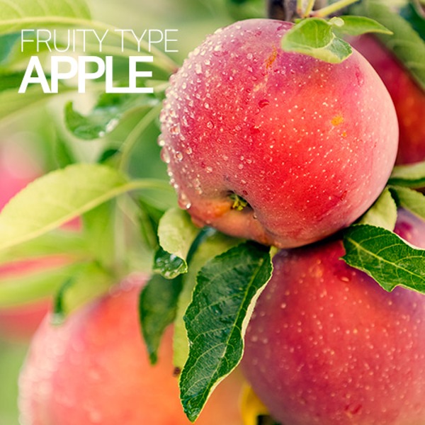 조향베이스 - 애플(사과) (조향원료, 향수만들기)